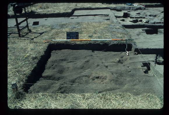 CORINELLA PENAL SETTLEMENT EXCAVATION