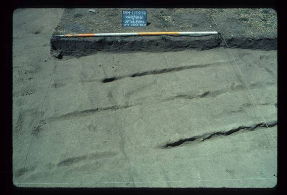 CORINELLA PENAL SETTLEMENT EXCAVATION