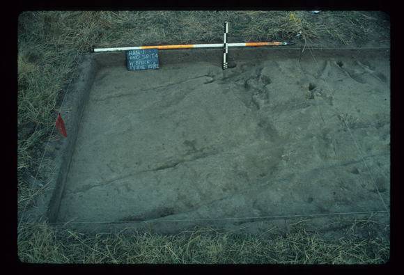 CORINELLA PENAL SETTLEMENT EXCAVATION