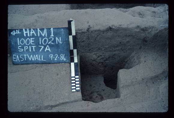 CORINELLA PENAL SETTLEMENT EXCAVATION