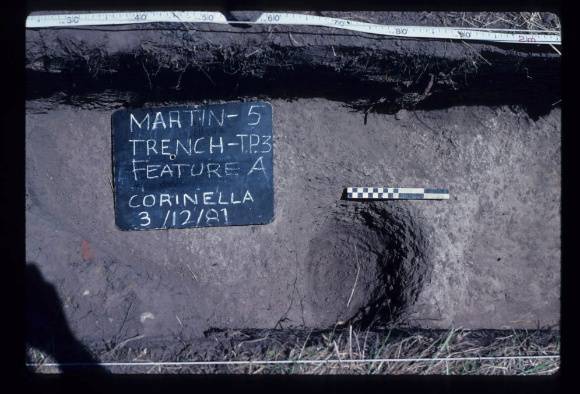 CORINELLA PENAL SETTLEMENT EXCAVATION