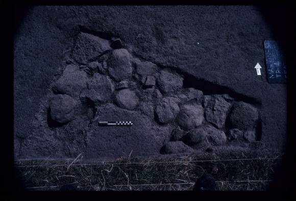 CORINELLA PENAL SETTLEMENT EXCAVATION