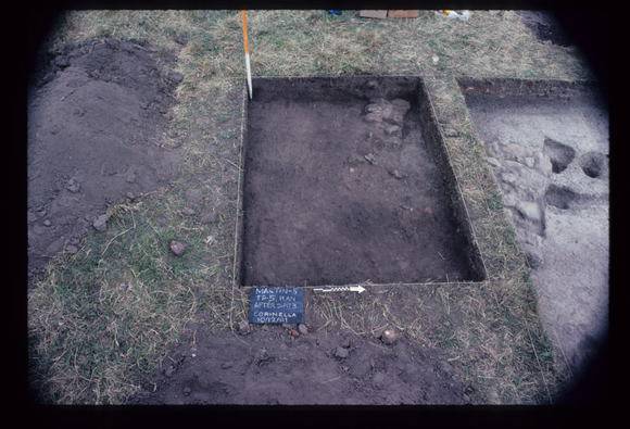 CORINELLA PENAL SETTLEMENT EXCAVATION