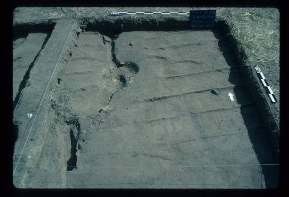 CORINELLA PENAL SETTLEMENT EXCAVATION