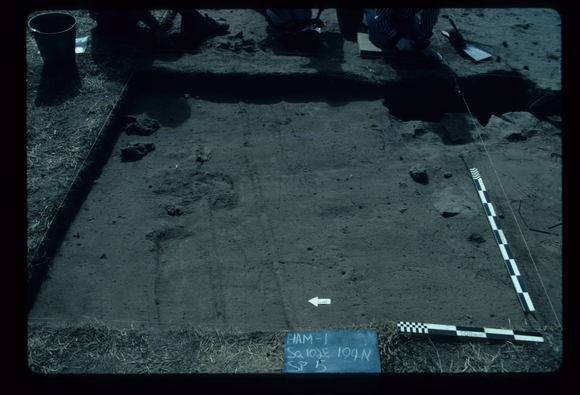 CORINELLA PENAL SETTLEMENT EXCAVATION