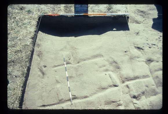CORINELLA PENAL SETTLEMENT EXCAVATION