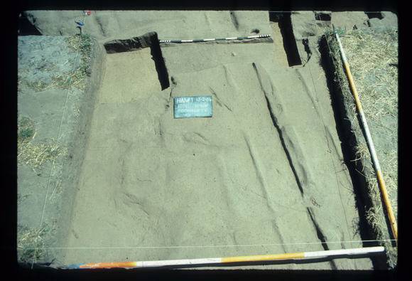 CORINELLA PENAL SETTLEMENT EXCAVATION