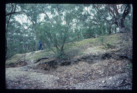 JANEFIELD 2, GOLDMINING AREA
