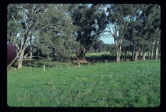 MURCHISON POLICE PADDOCKS