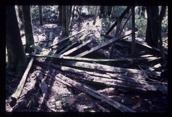 ALSTERGREN'S SAWMILL