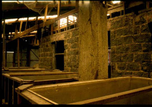 Sunnyside Wool Scour Interior