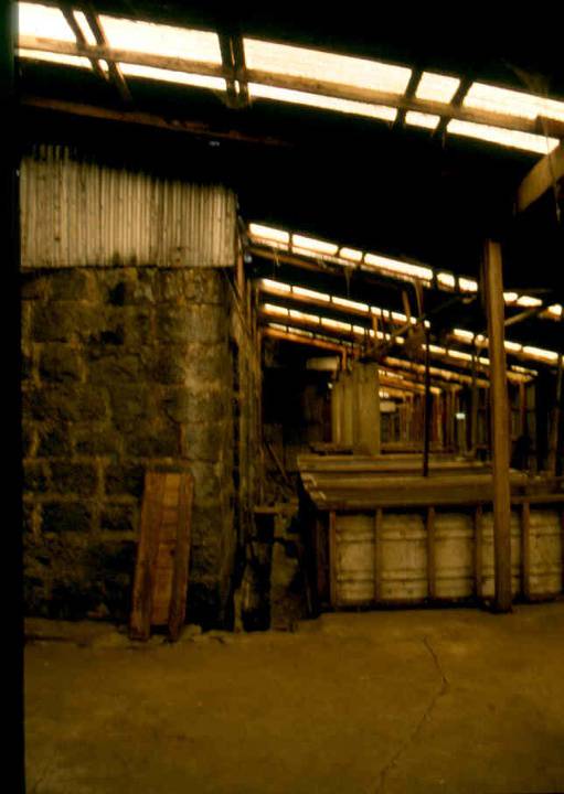 Sunnyside Wool Scour Interior