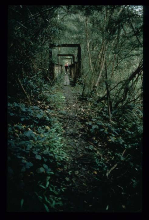 COOPER'S CREEK COPPER MINE