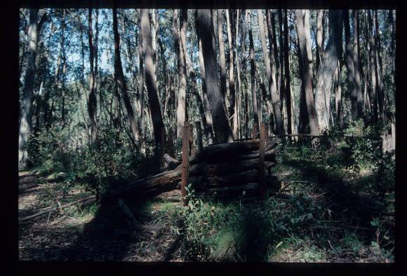 BALLROOM TRACK POWDER MAGAZINE