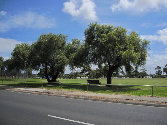Maribyrnong Park 
