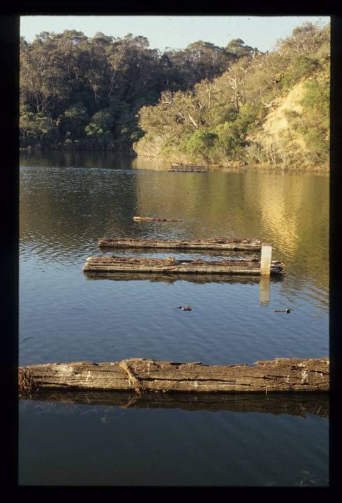 LAKE TYERS TIMBER COMPANY TRAMWAY BRIDGE