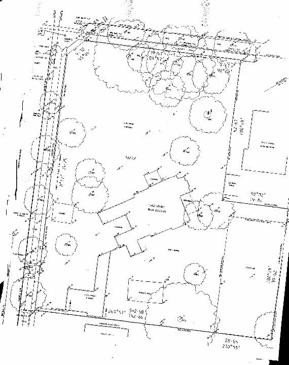Survey Plan