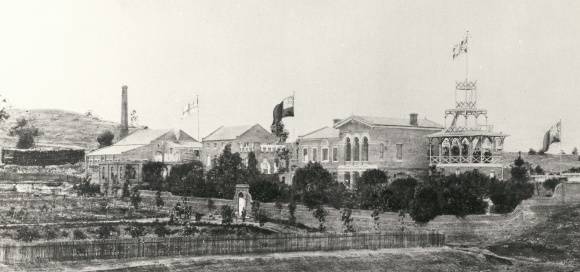 B1177 Fortuna Chum St Bendigo