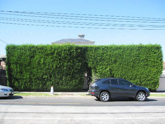 75 Maribyrnong Road.JPG