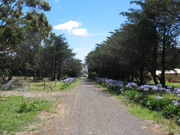 Beam Wireless Receiving Station Mt Cottrell cypress avenue at rear