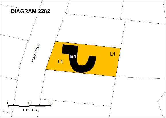 snelleman plan