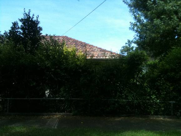 4 Nixon Street Sunshine.jpg