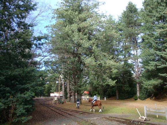 T12067