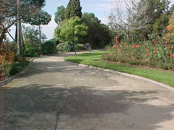 McKay Gardens Entrance Path