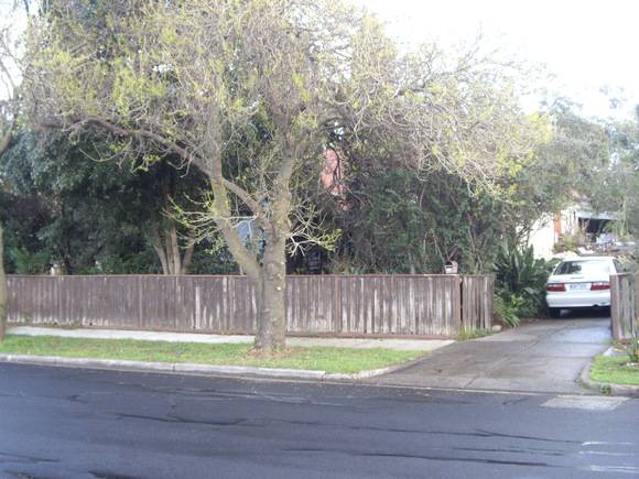 13 sydney stttt.JPG