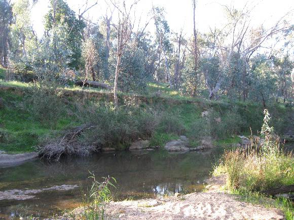 Gully within 100 metres of the site description.