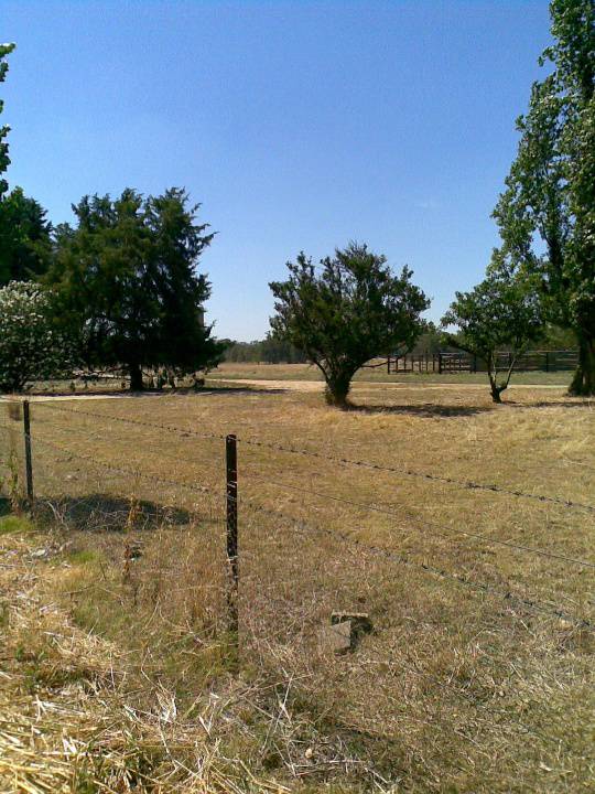 View from Hume Highway.