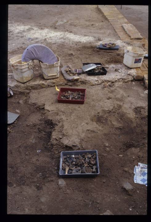 Casselden Place Excavation 2002-2003