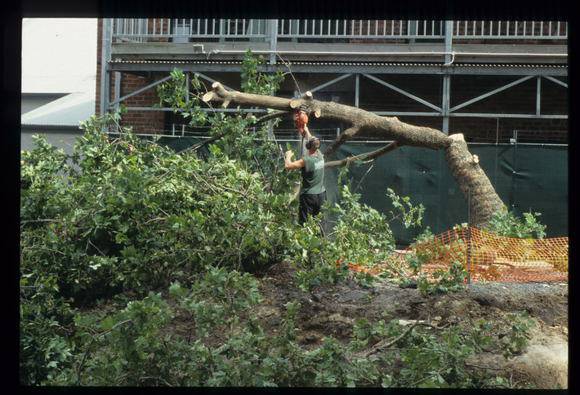 Casselden Place Excavation 2002-2003