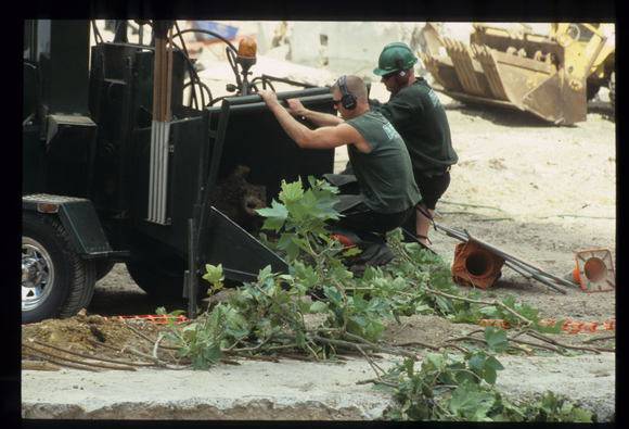 Casselden Place Excavation 2002-2003