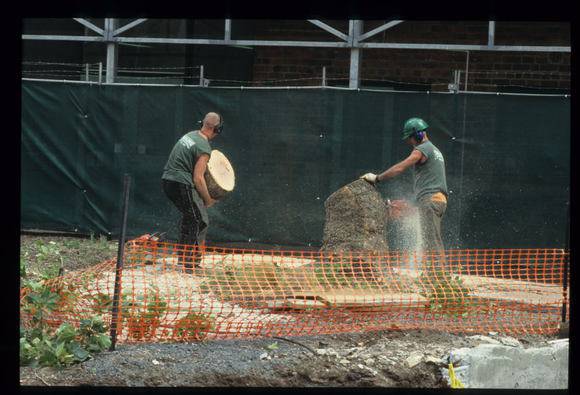 Casselden Place Excavation 2002-2003