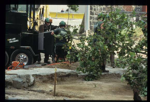 Casselden Place Excavation 2002-2003