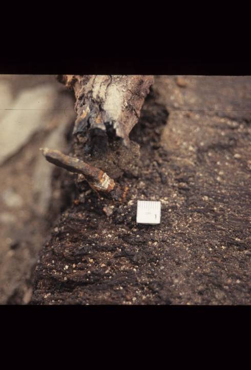 Casselden Place Excavation 2002-2003
