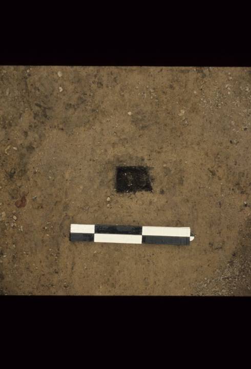 Casselden Place Excavation 2002-2003