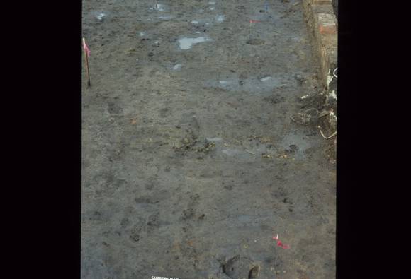 Casselden Place Excavation 2002-2003