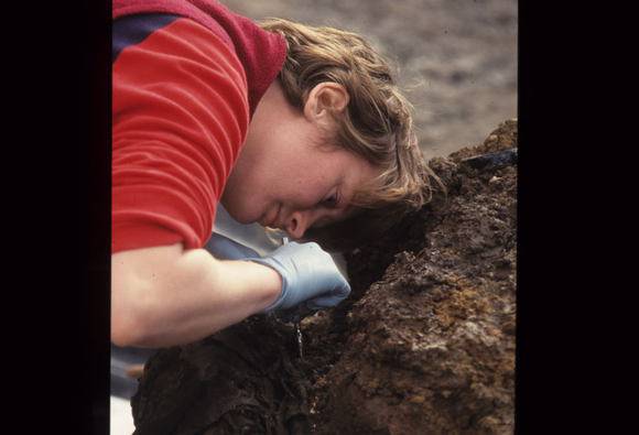 Casselden Place Excavation 2002-2003