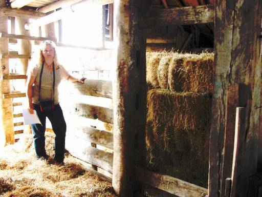 Staplegrove Meat Works Pen