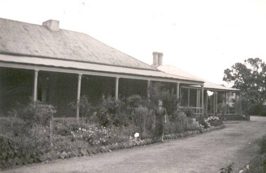 B1100 Decameron Homestead