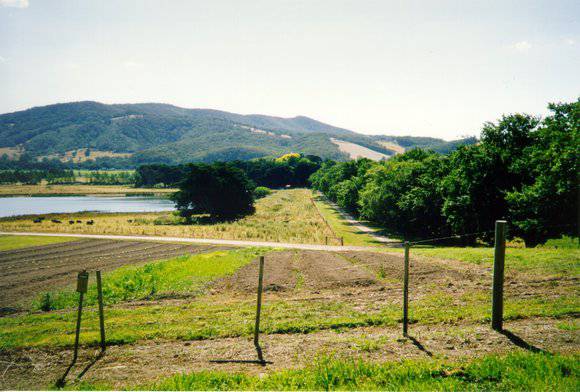 Eyton on Yarra