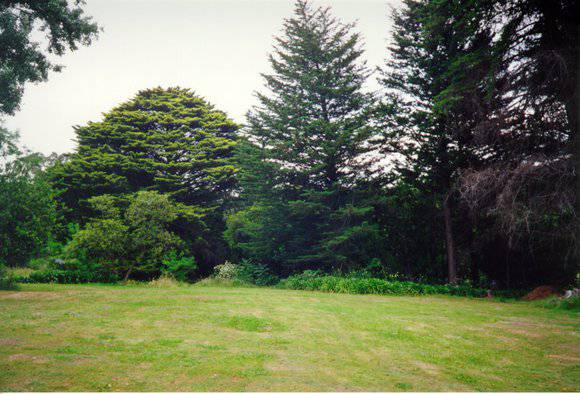 Mount Yule