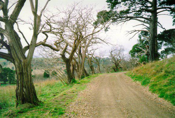 Monbulk Homestead
