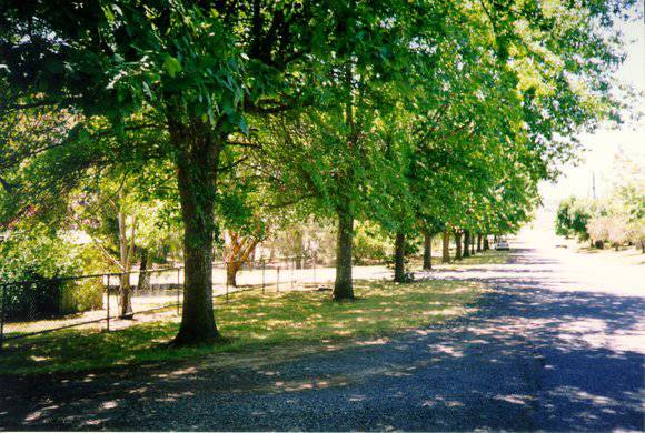 Yarra Glen Avenue of Honour