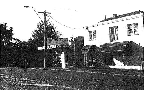 Long Gully Ironbark Comm Res Precinct 5.1 Ironbark Township.jpg