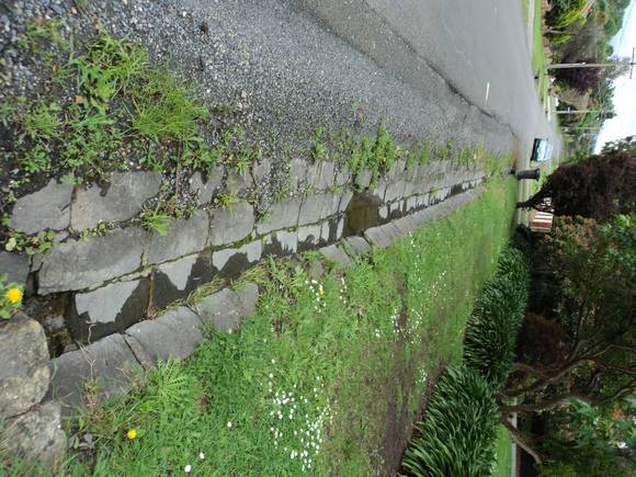 THe Area Subdivision - Bluestone Guttering 