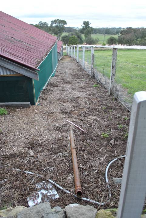 Woodlands Homestead, 2011