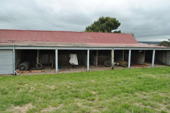 Woodlands Homestead, 2011